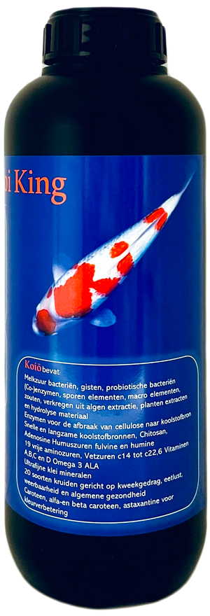 Koio Koi King